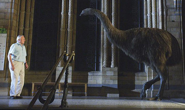 Attenborough___1882426a