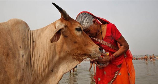 Maharastra-beef-ban_therepo-620x330