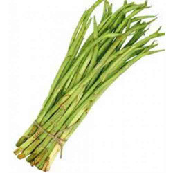 stolon-of-taro-500x500