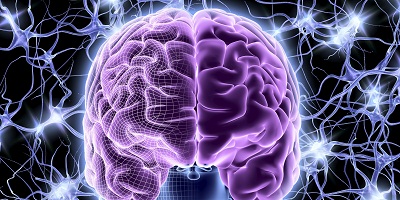 o-BRAIN-facebook