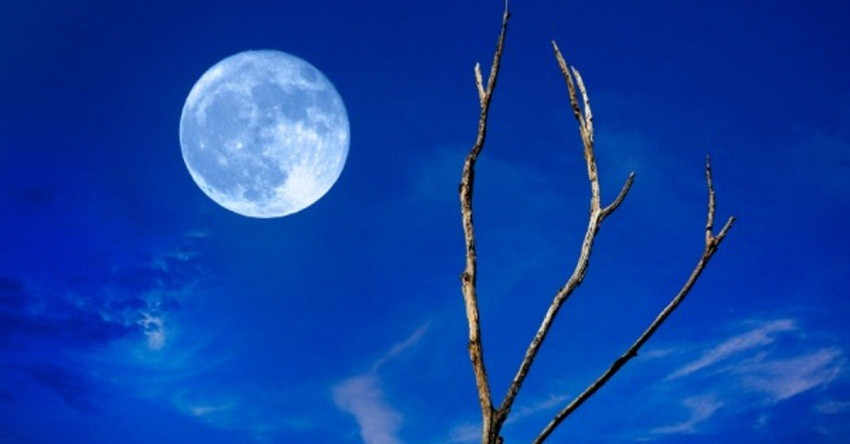 blue moon 1