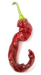 Cayenne chili Pepper