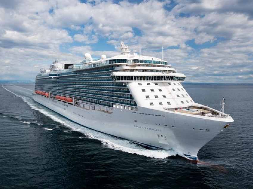 princes criusis regal prince