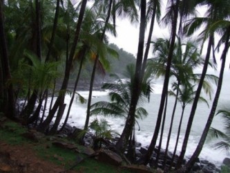 American Uposhogorio Upolul