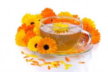 calendula-tea-doprops1