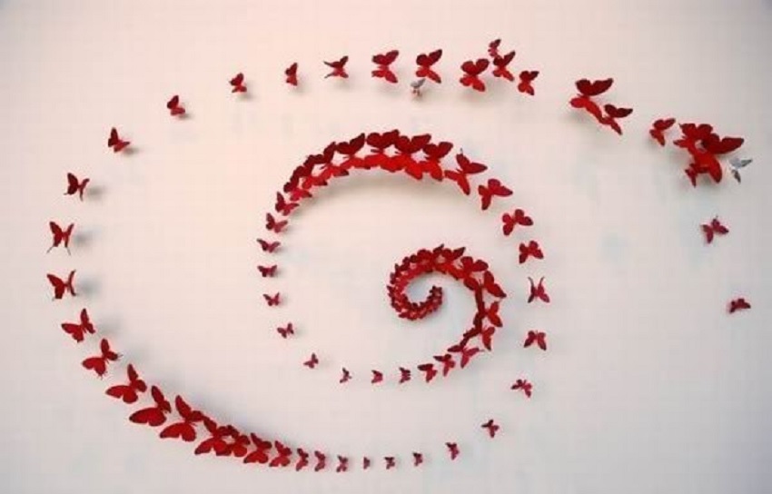 mariposa2
