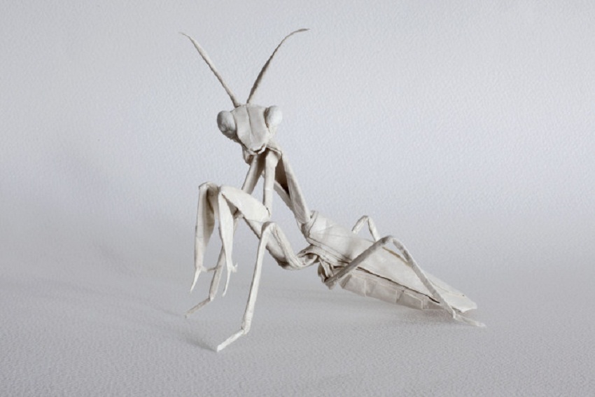 Big-white-praying-mantis-origami-by-MABONA-ORIGAMI-700x467