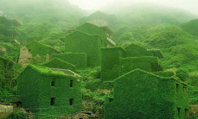 Green-House-