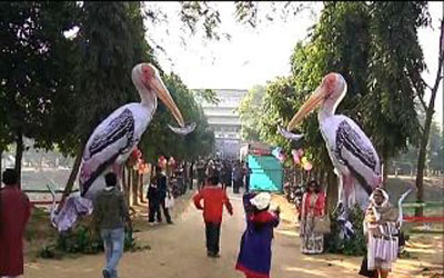 পাখি মেলা