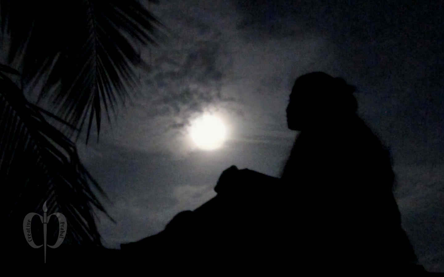 Lonely Girl In Full Moon Night