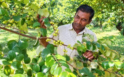 From nut seller to multi-millionaire